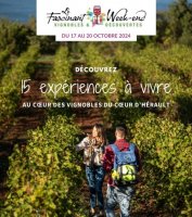 15 expériences à vivre au coeur des vignobles de l'Hérault - FWE