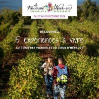 15 expériences à vivre au coeur des vignobles de l'Hérault - FWE