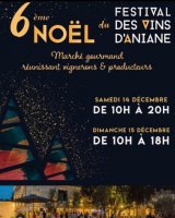 Festival Vins Aninae 2024